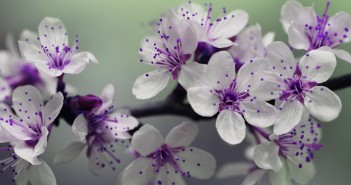 Creative Displays Boost Floral Sales Displaying Florals