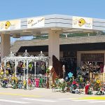The Farmer’s Daughter: A Shop in the Heart of the Black Hills