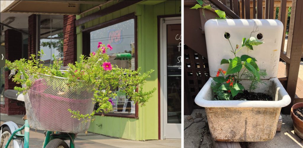 planter boxes made out of a bike basket and old sink.