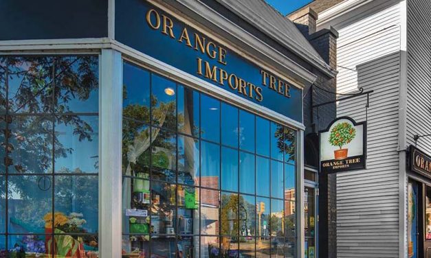 Madison, Wisconsin Gift Shop: Orange Tree Imports