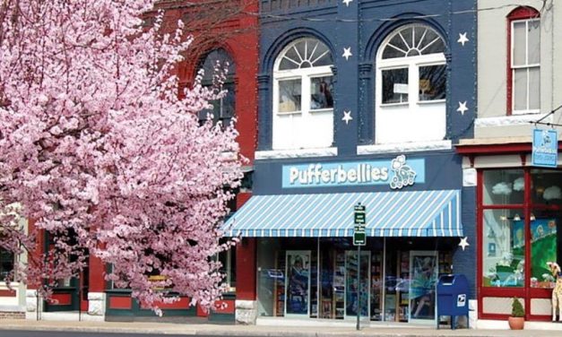 Staunton, Virginia Toy & Book Shop: Pufferbellies