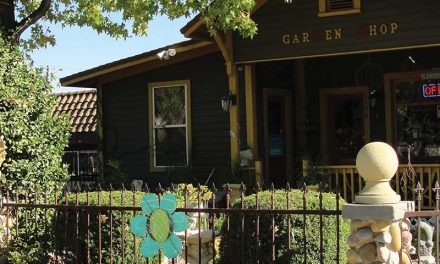 Ramona, California Gift Shop: Designer Stone Garden Shop