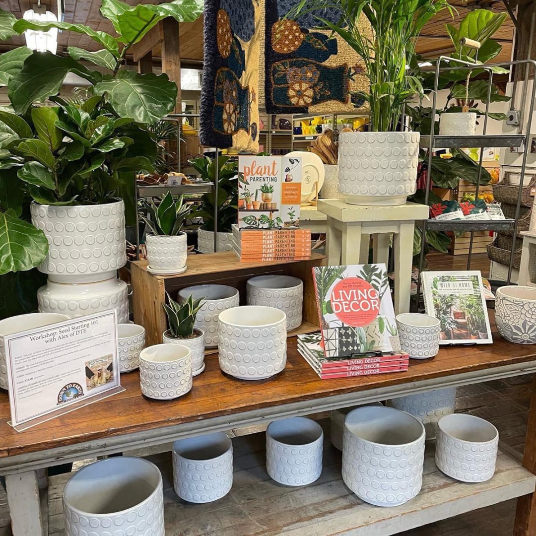 Down to Earth Home, Garden & Gift | Smart Retailer