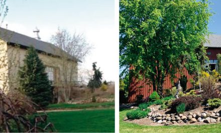 Steel Heart, LTD. Going Above and Beyond for Their Customers