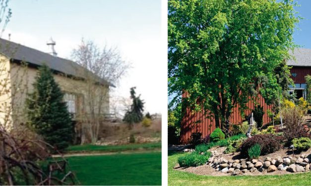 Steel Heart, LTD. Going Above and Beyond for Their Customers