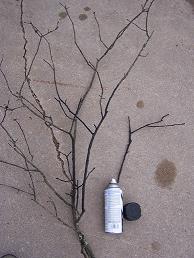 branch and spray paint