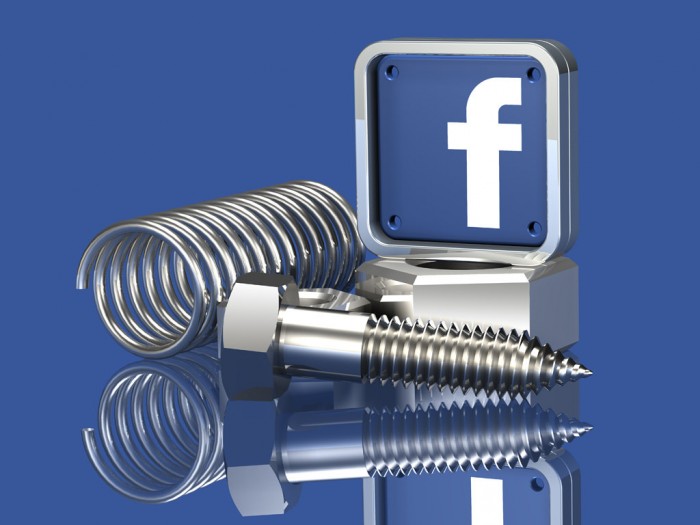 Know Your Facebook Audience: Exploring Facebook Demographics